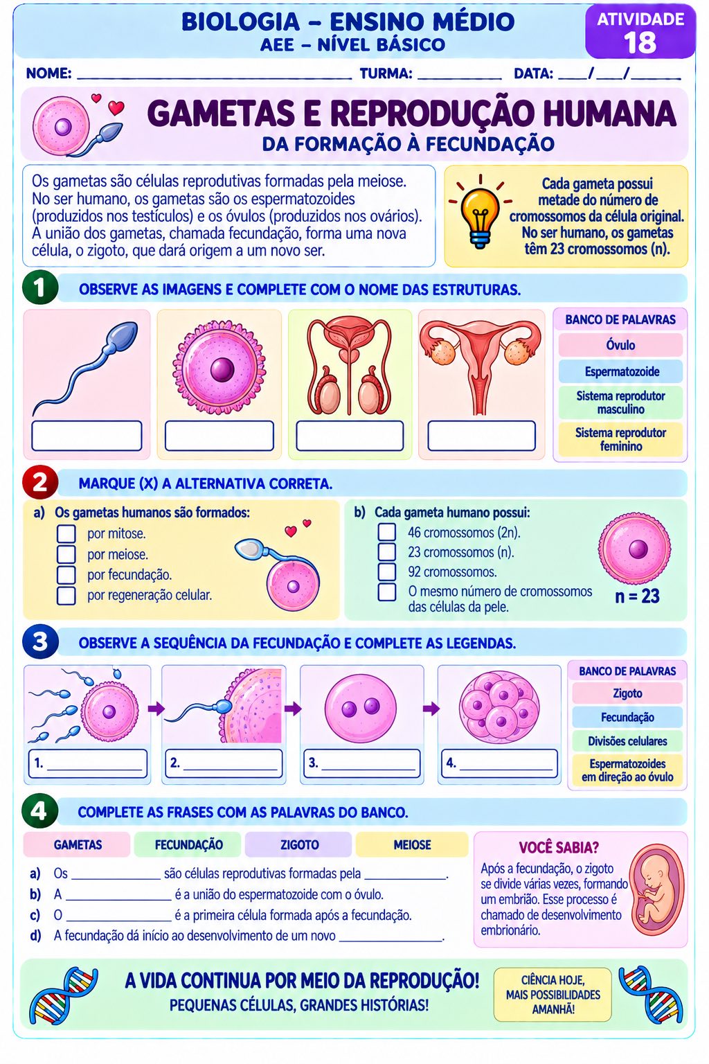 Imagem da galeria 2 de Biologia em Ação: 20 Atividades Adaptadas para o Ensino Médio – AEE