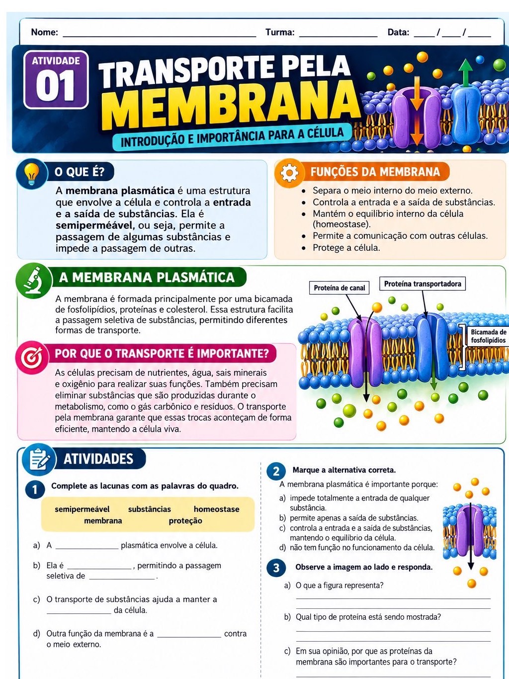 Imagem da galeria 1 de Atividades transporte pela membrana- biologia