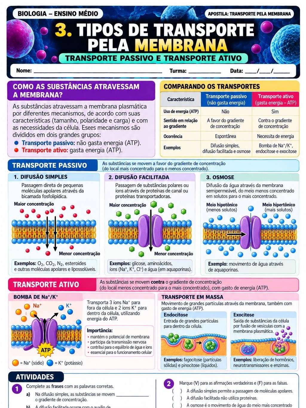 Imagem da galeria 2 de Atividades transporte pela membrana- biologia
