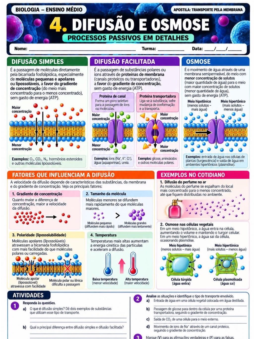 Imagem da galeria 3 de Atividades transporte pela membrana- biologia
