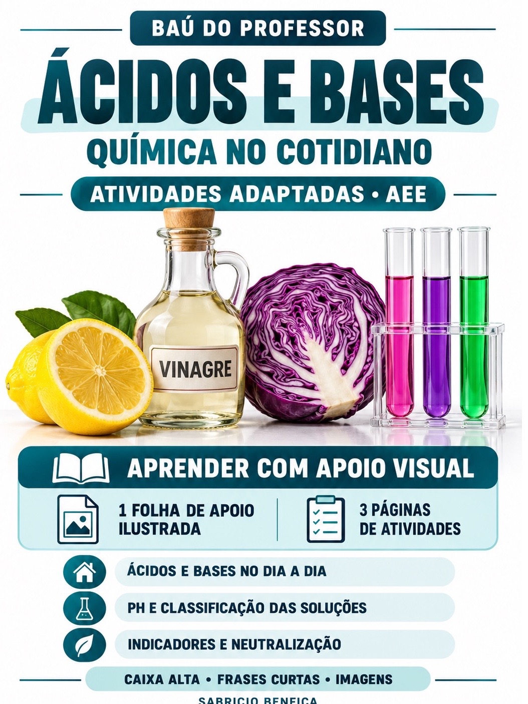 Capa de Ácidos e Bases AEE: Atividades Adaptadas de Química em PDF