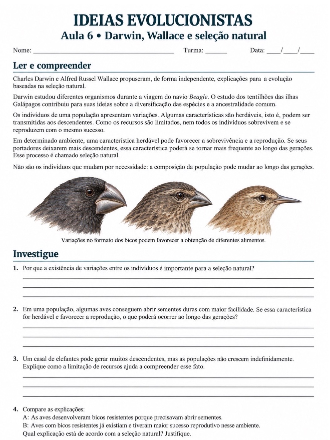 Imagem da galeria 3 de Ideias Evolucionistas: Sequência Didática de Ciências
