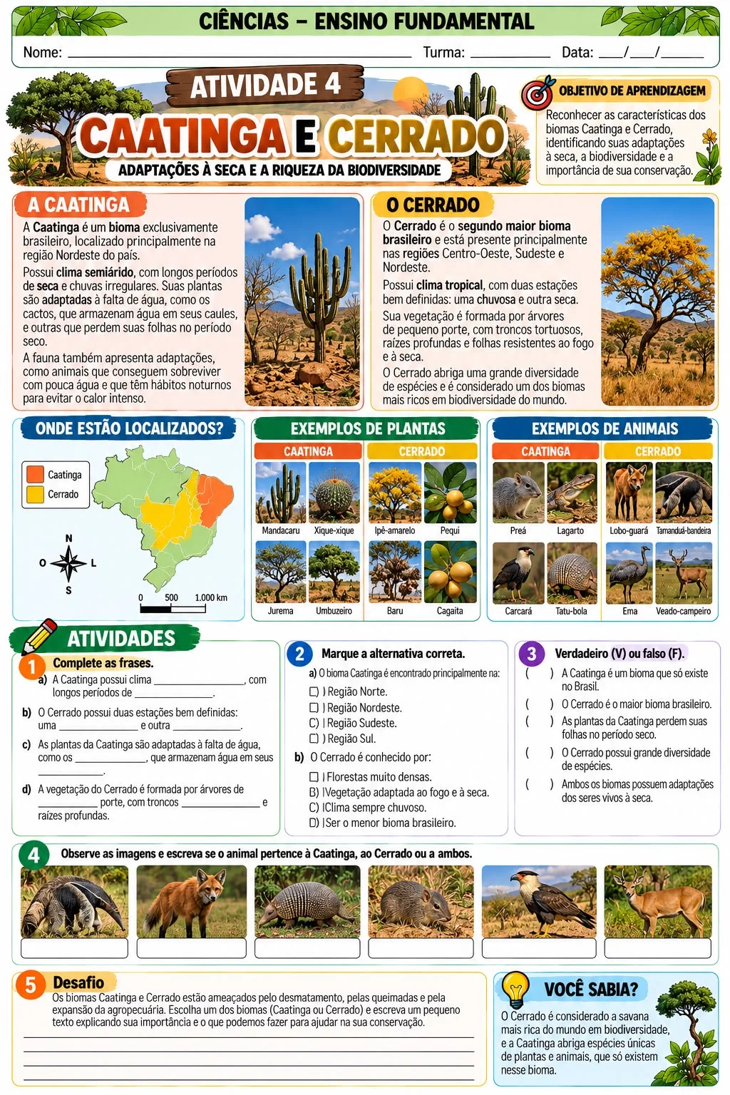 Imagem da galeria 1 de Biomas Brasileiros: Apostila de Ciências para Ensino Fundamental