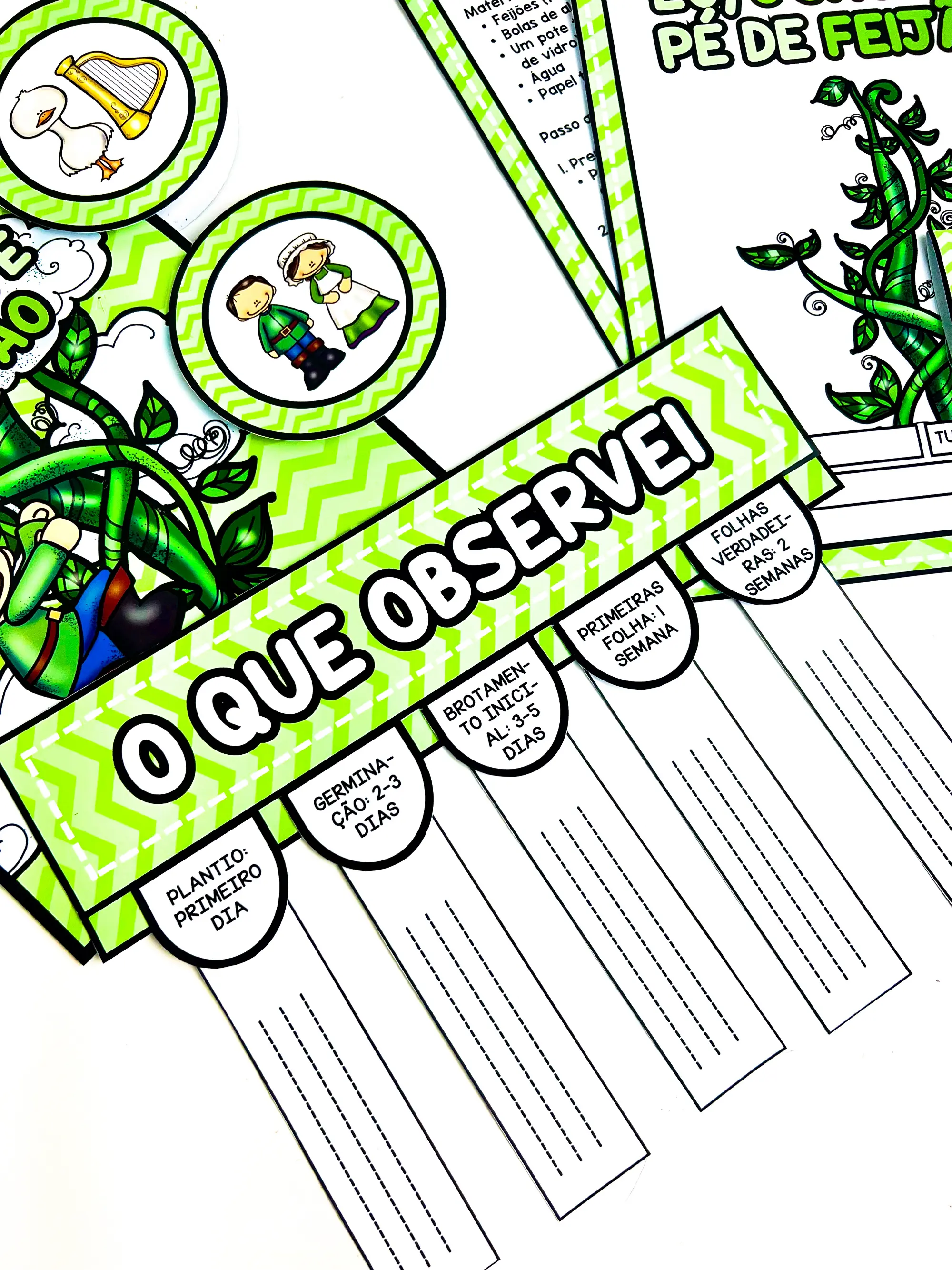 Imagem da galeria 2 de Sequência Didática João e o Pé de Feijão com Germinação