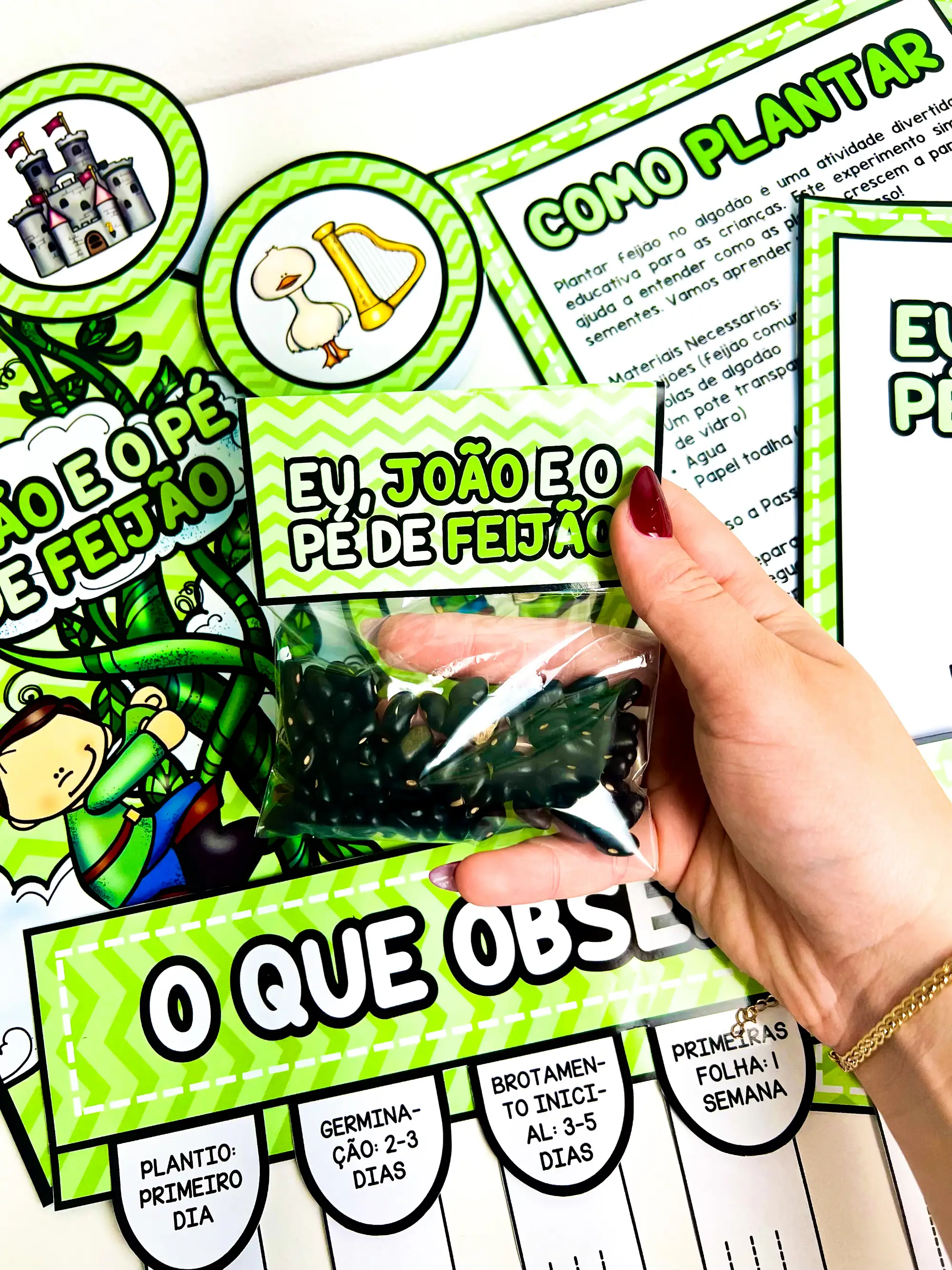 Imagem da galeria 3 de Sequência Didática João e o Pé de Feijão com Germinação