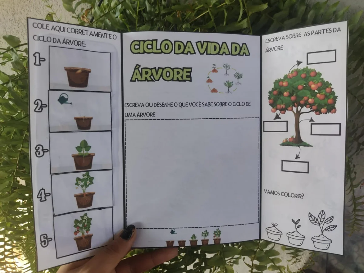 Capa de LAPBOOK DIA DA ÁRVORE – PDF para Imprimir