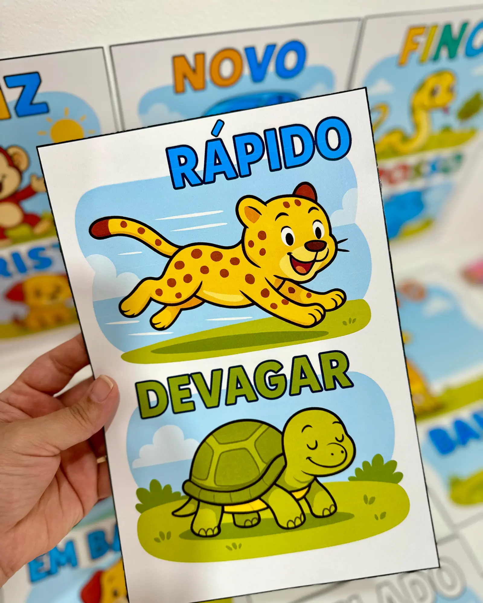 Capa de Fichas ilustradas — Conceitos na Educação Infantil
