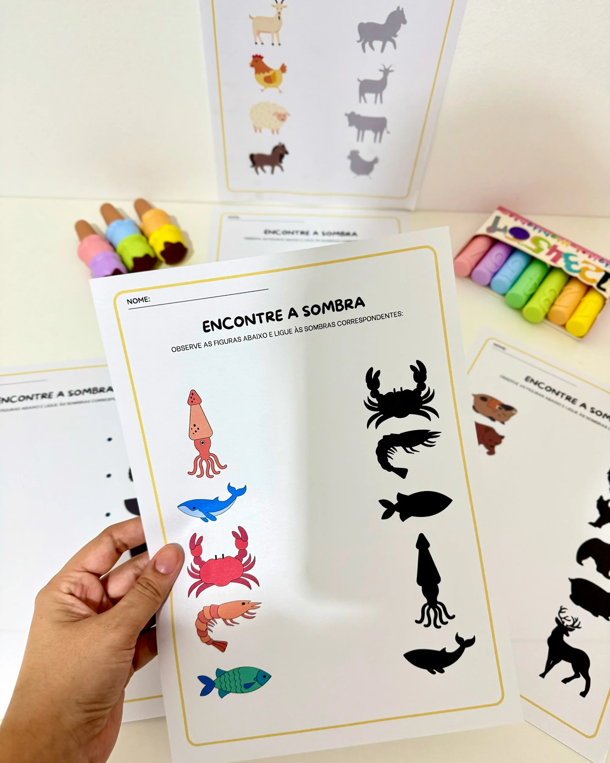 Capa de Atividades Sombra Educação Infantil e anos iniciais