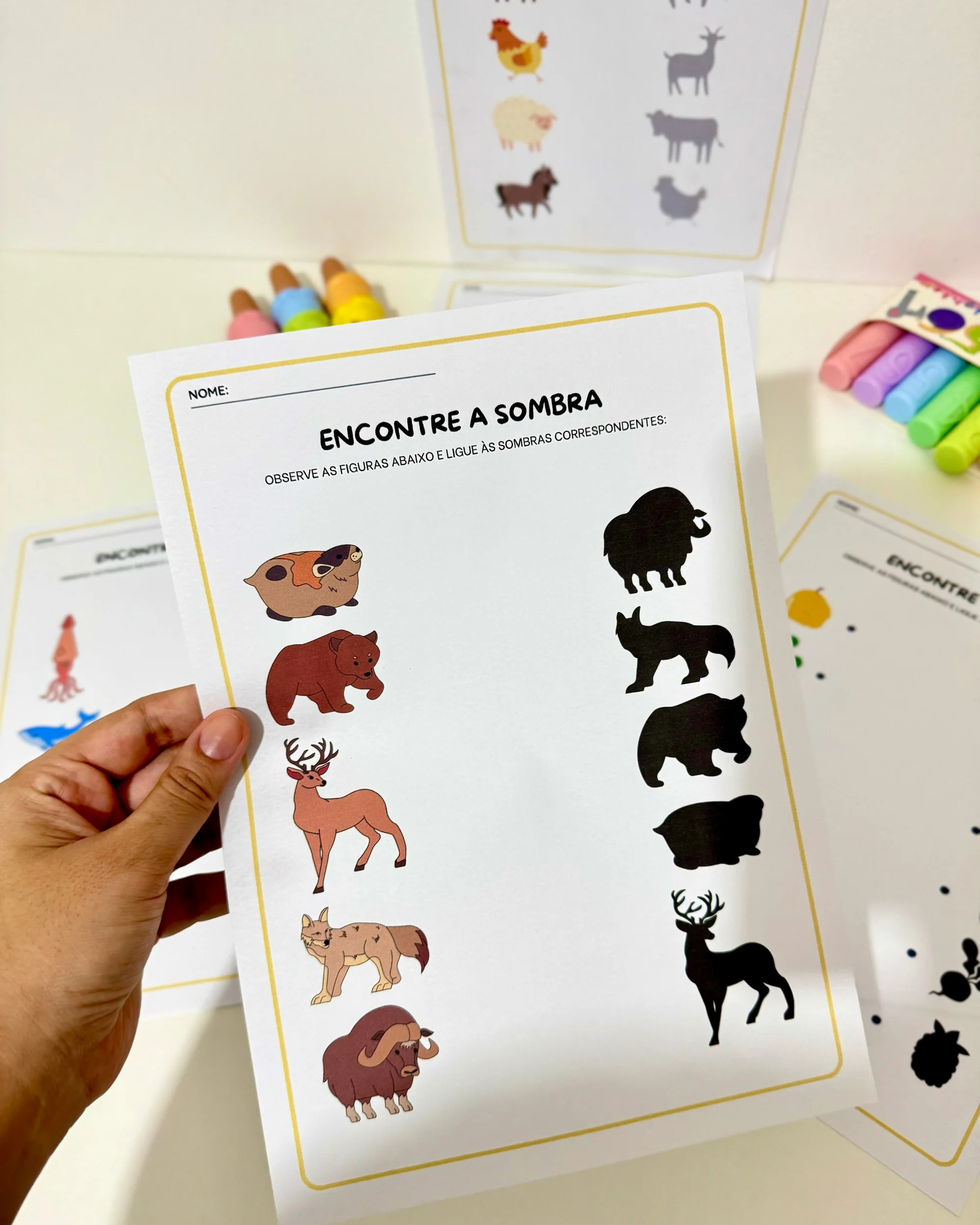 Imagem da galeria 2 de Atividades Sombra Educação Infantil e anos iniciais