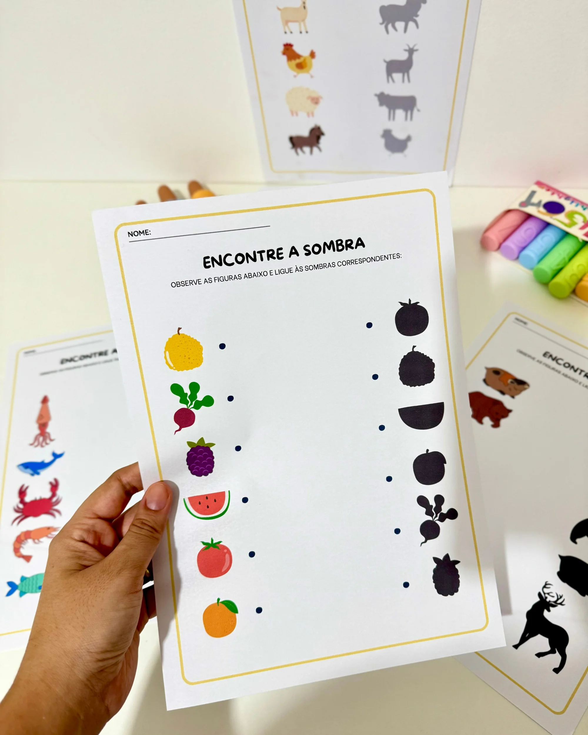 Imagem da galeria 3 de Atividades Sombra Educação Infantil e anos iniciais