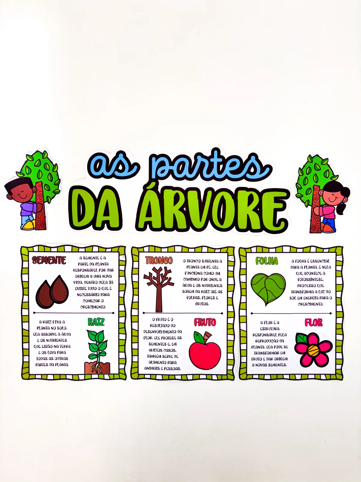 Capa de Painel Partes da Árvore – PDF para Imprimir