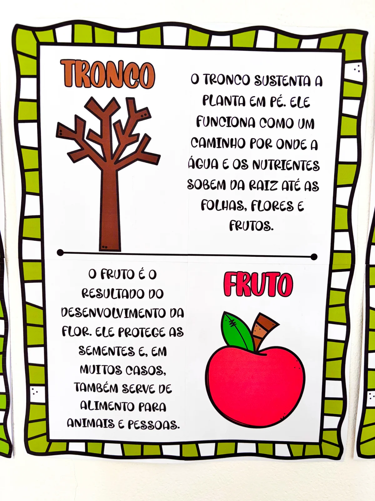 Imagem da galeria 2 de Painel Partes da Árvore – PDF para Imprimir