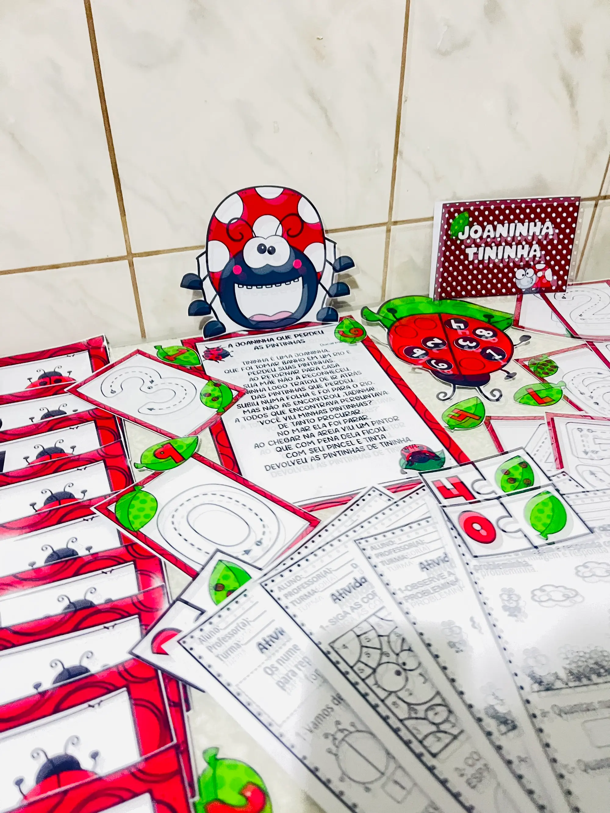 Capa de Atividades A Joaninha que Perdeu as Pintinhas para Educação Infantil