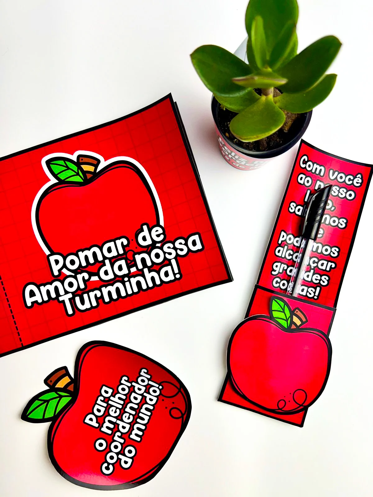 Imagem da galeria 3 de Lembrancinhas Dia do Coordenador – Material Pedagógico